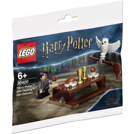 LEGO 30420 Harry Potter: Harry Potter és Hedwig Bagolyszállítás